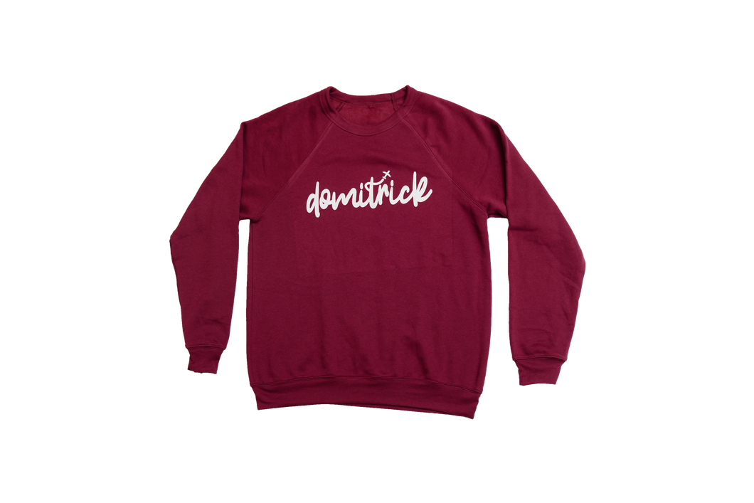Domitrick Travel Sweatshirt